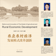 农业农村经济发展模式改革创新
